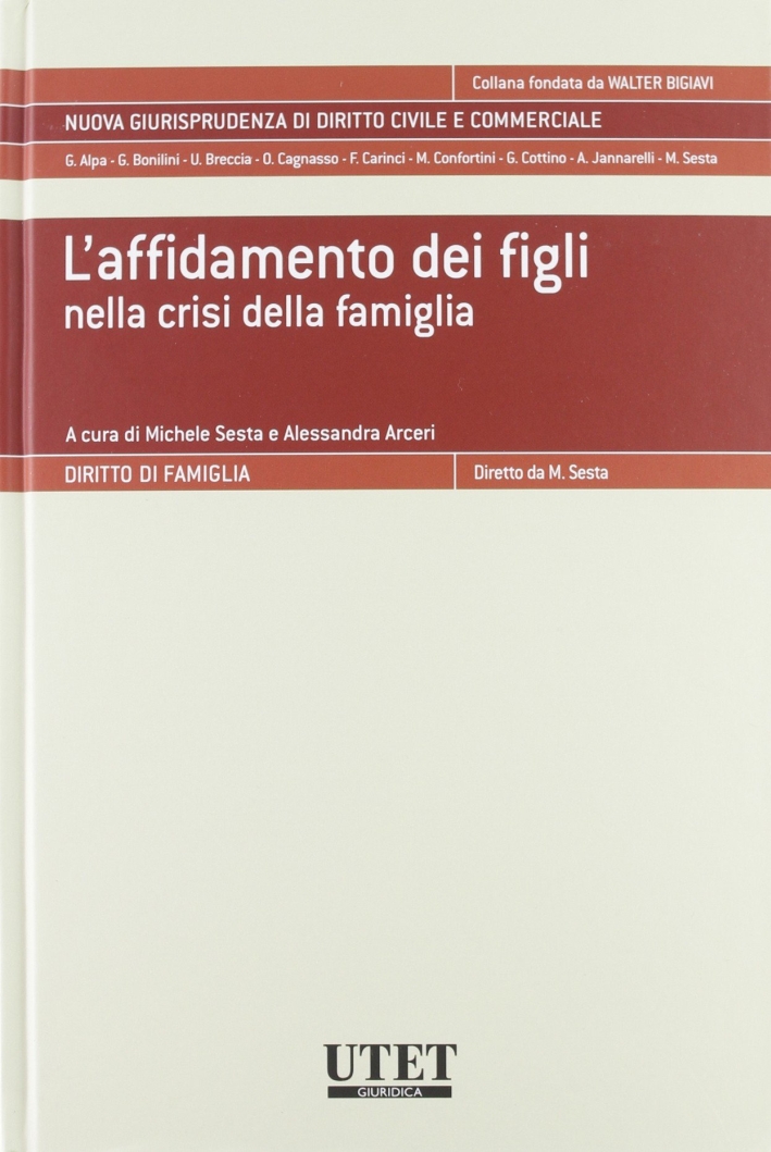 L'affidamento dei figli nella crisi della famiglia L'affidamento dei figli nella crisi della famiglia