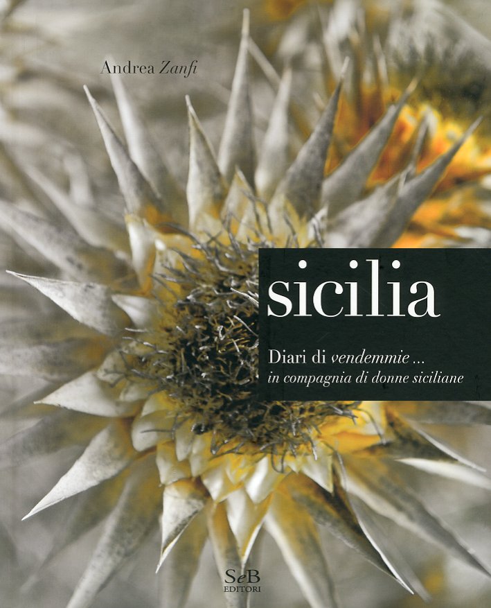 Sicilia. Diari di Vendemmie... In Compagnia di Donne Siciliane. Sicilia. Diari di Vendemmie... In Compagnia di Donne Siciliane.