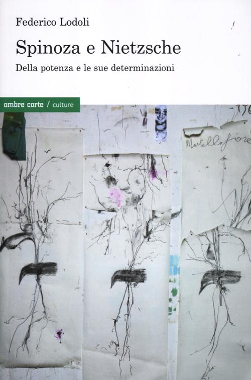 Spinoza e Nietzsche. Della potenza e le sue determinazioni. Spinoza e Nietzsche. Della potenza e le sue determinazioni.