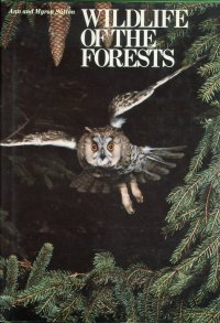 Wildlife of the Forests