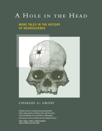 Hole in the Head