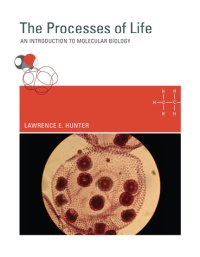 Processes of Life