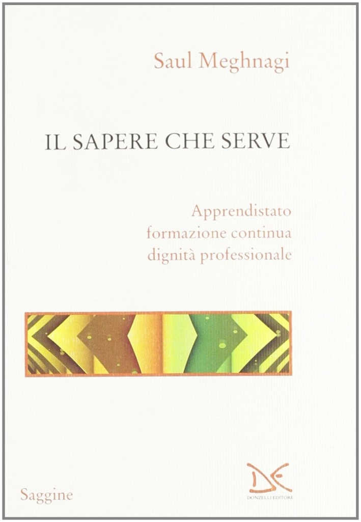 Il sapere che serve. Apprendistato, formazione continua, dignità professionale