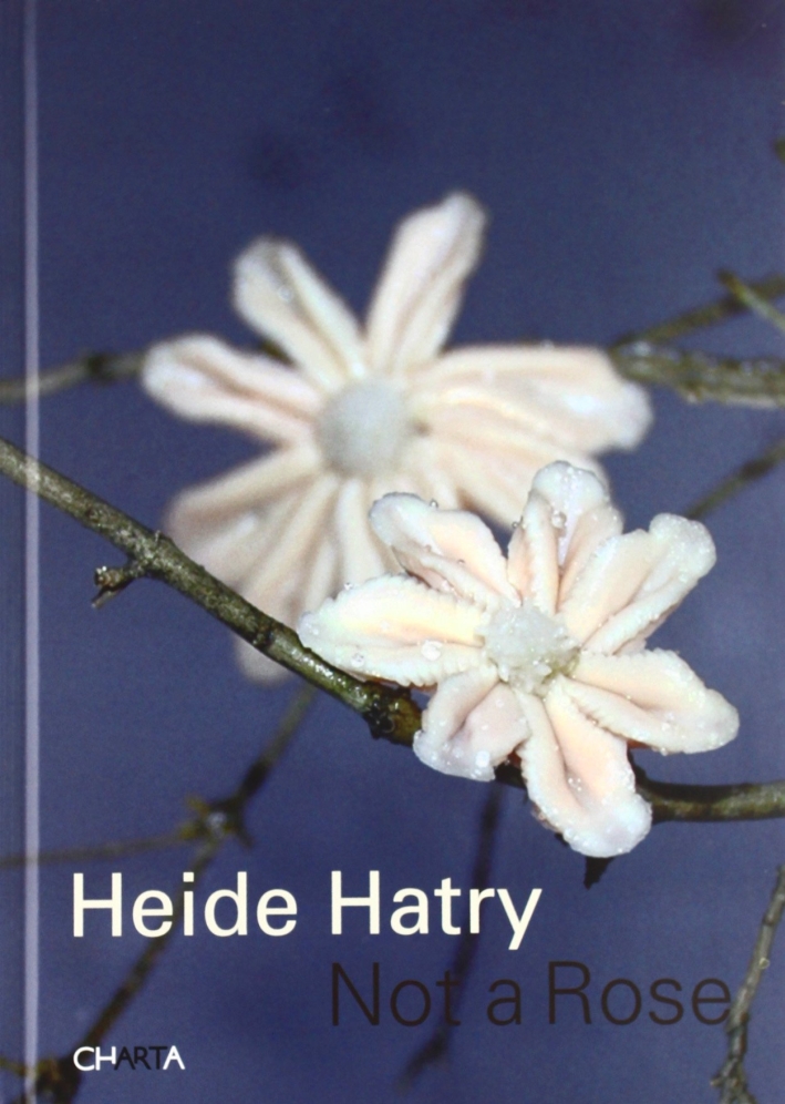 Heide Hatry. Not a rose Heide Hatry. Not a rose