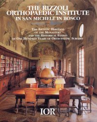 The Rizzoli Orthopaedic Institute in San Michele in Bosco