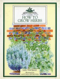 How to grow Herbs