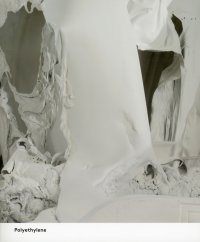 Pawel Althamer. Polyethylene. Common task