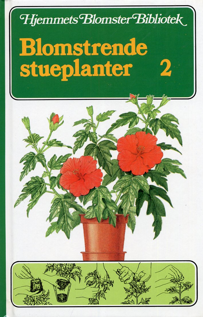Blomstrende stueplanter. 2 Blomstrende stueplanter. 2