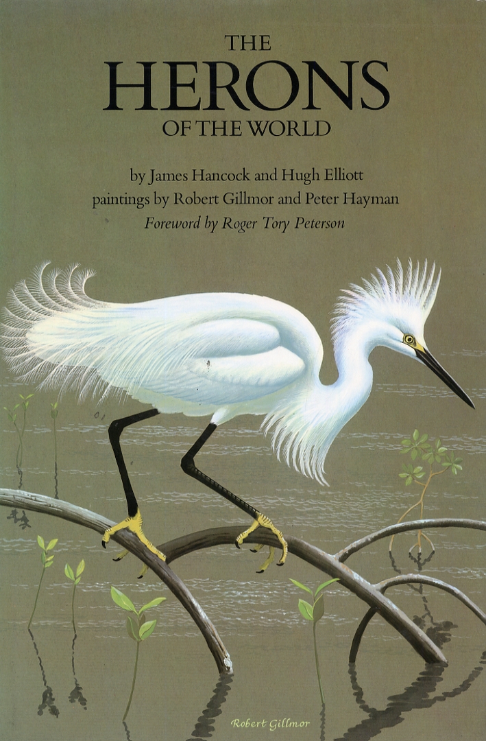 The herons of the world The herons of the world