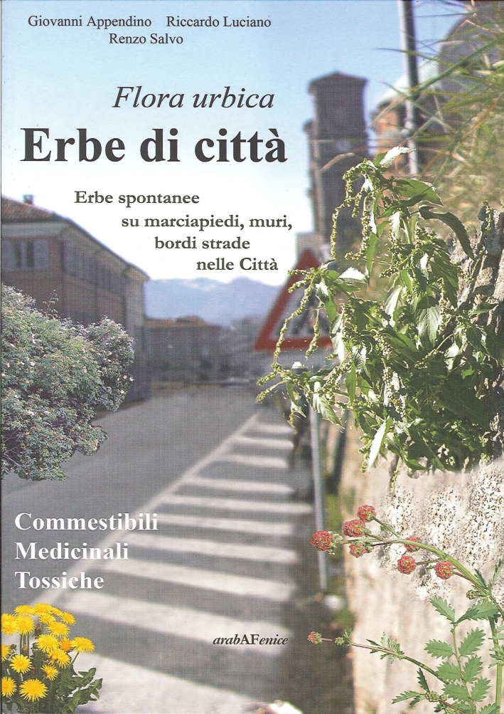 Erbe di città. Erbe spontanee su marciapiedi, muri, bordi strade nelle città Erbe di città. Erbe spontanee su marciapiedi, muri, bordi strade nelle città