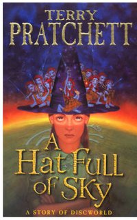 Hat Full of Sky