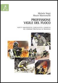 Professione vigile del fuoco. Aspetti organizzativi, comunicativi e operativi del comando provinciale di Frosinone Professione vigile del fuoco. Aspetti organizzativi, comunicativi e operativi del comando provinciale di Frosinone