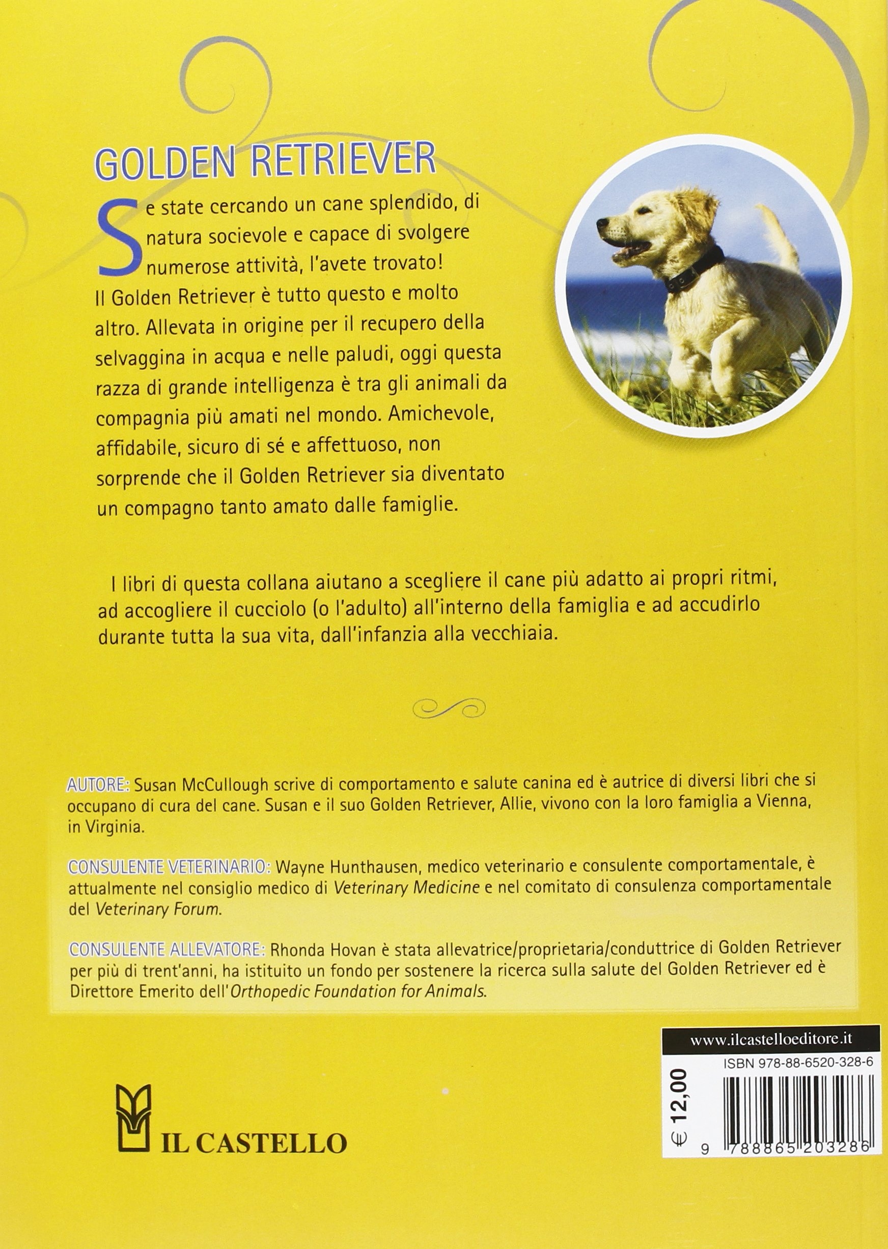 Golden Retriever: guida completa al cucciolo d'oro - ArcaMagazine