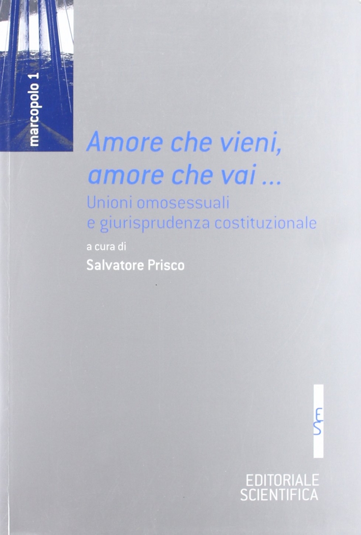 Amore che vieni, amore che vai... Unioni omossessuali e giurisprudenza costituzionale Amore che vieni, amore che vai... Unioni omossessuali e giurisprudenza costituzionale