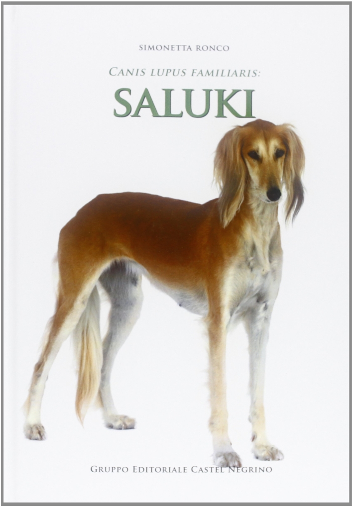 Canis lupus familiaris. Saluki Canis lupus familiaris. Saluki