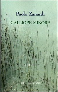 Calliope minore Calliope minore