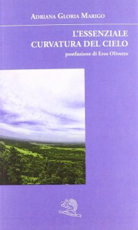 L'essenziale curvatura del cielo