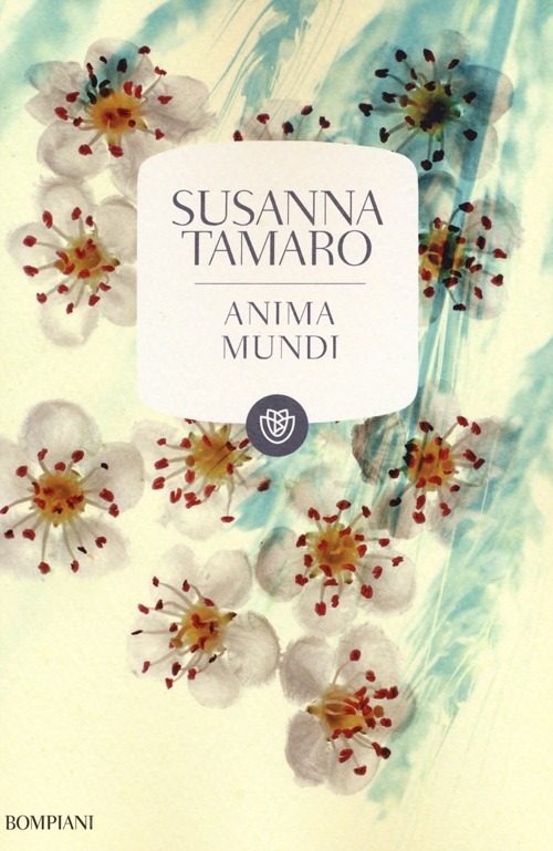 Anima mundi Anima mundi