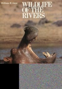 Wildlife of the Rivers