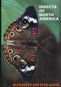 Insects of North America