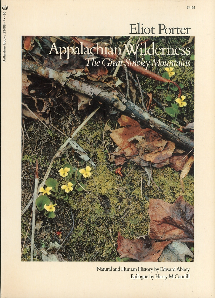 Appalachian Wilderness.The Great Smoky Mountains Appalachian Wilderness.The Great Smoky Mountains