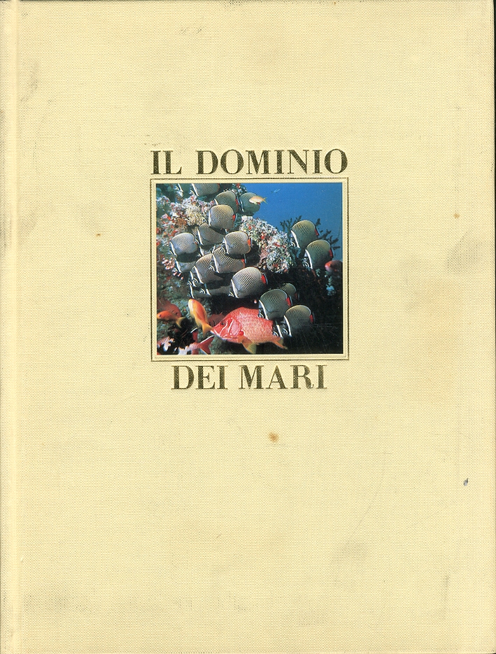 Il Dominio dei Mari Il Dominio dei Mari