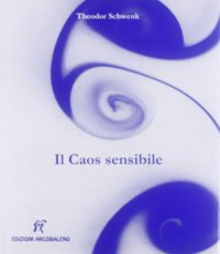 Il Caos Sensibile. Fluente Creazione di Forme nell'Acqua e nell'Aria