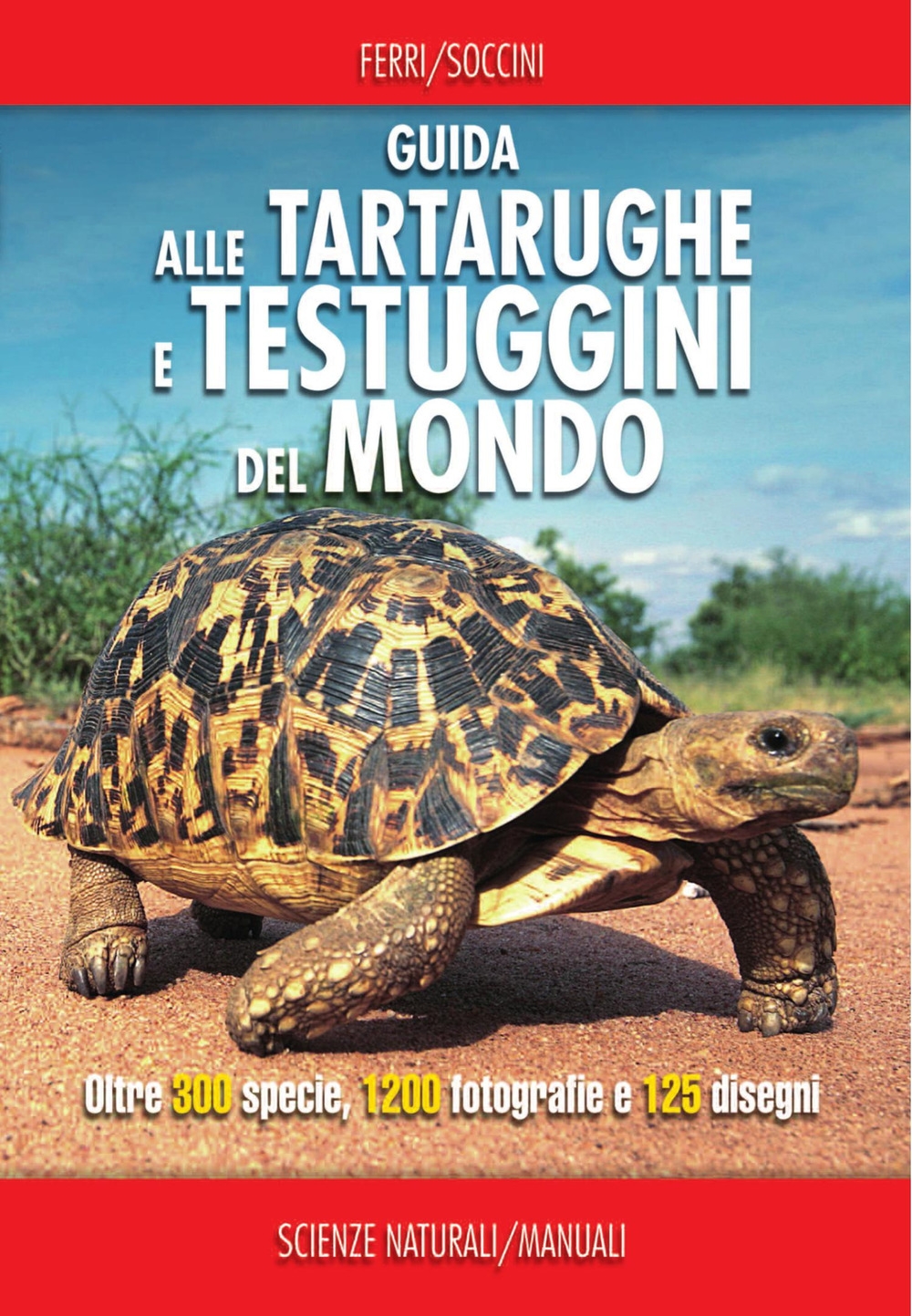 Guida delle tartarughe e delle testuggini del mondo. Ediz. illustrata Guida delle tartarughe e delle testuggini del mondo. Ediz. illustrata