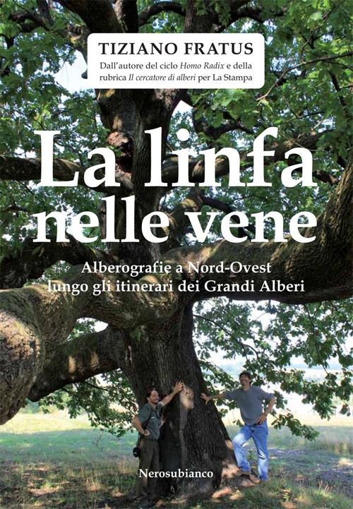 La linfa nelle vene. Alberografie a Nord-Ovest lungo gli itinerari dei grandi alberi La linfa nelle vene. Alberografie a Nord-Ovest lungo gli itinerari dei grandi alberi