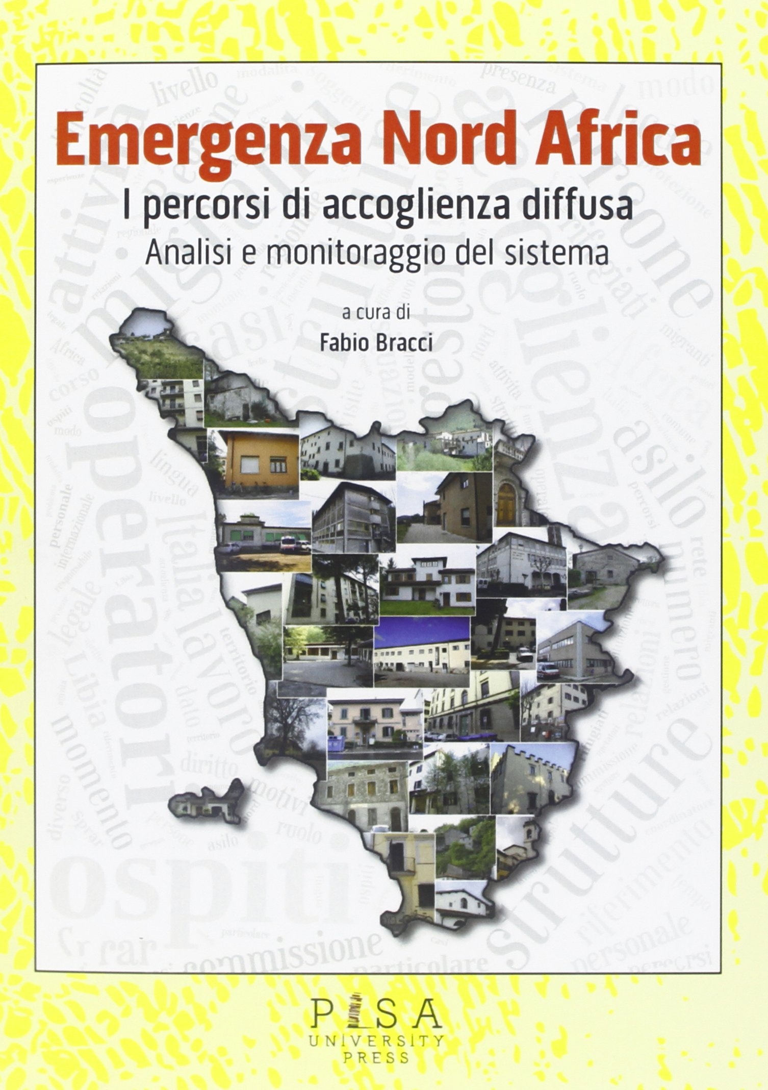 Emergenza Nord Africa. I percorsi di accoglienza diffusa. Analisi e monitoraggio del sistema
