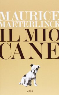 Il mio cane