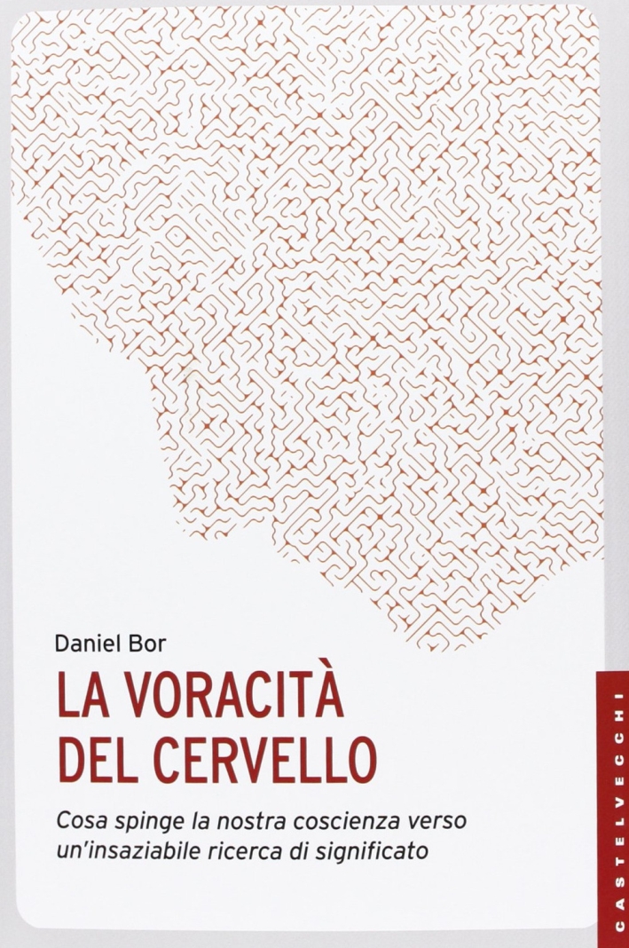 La voracità del cervello. Cosa spinge la nostra coscienza verso un'insaziabile ricerca del significato La voracità del cervello. Cosa spinge la nostra coscienza verso un'insaziabile ricerca del significato