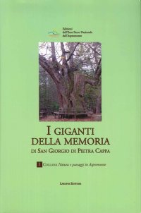 I "giganti della memoria" di San Giorgio di Pietra Kappa