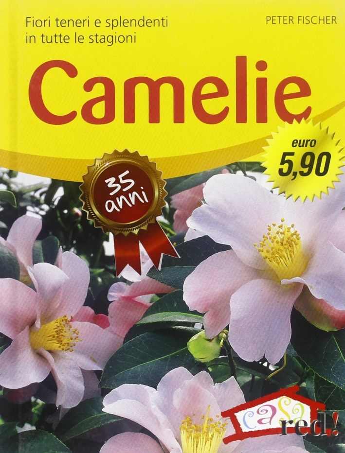 Camelie Camelie