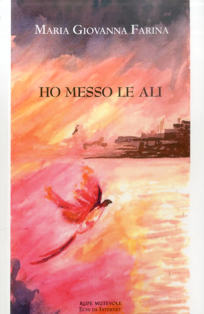 Ho messo le ali Ho messo le ali