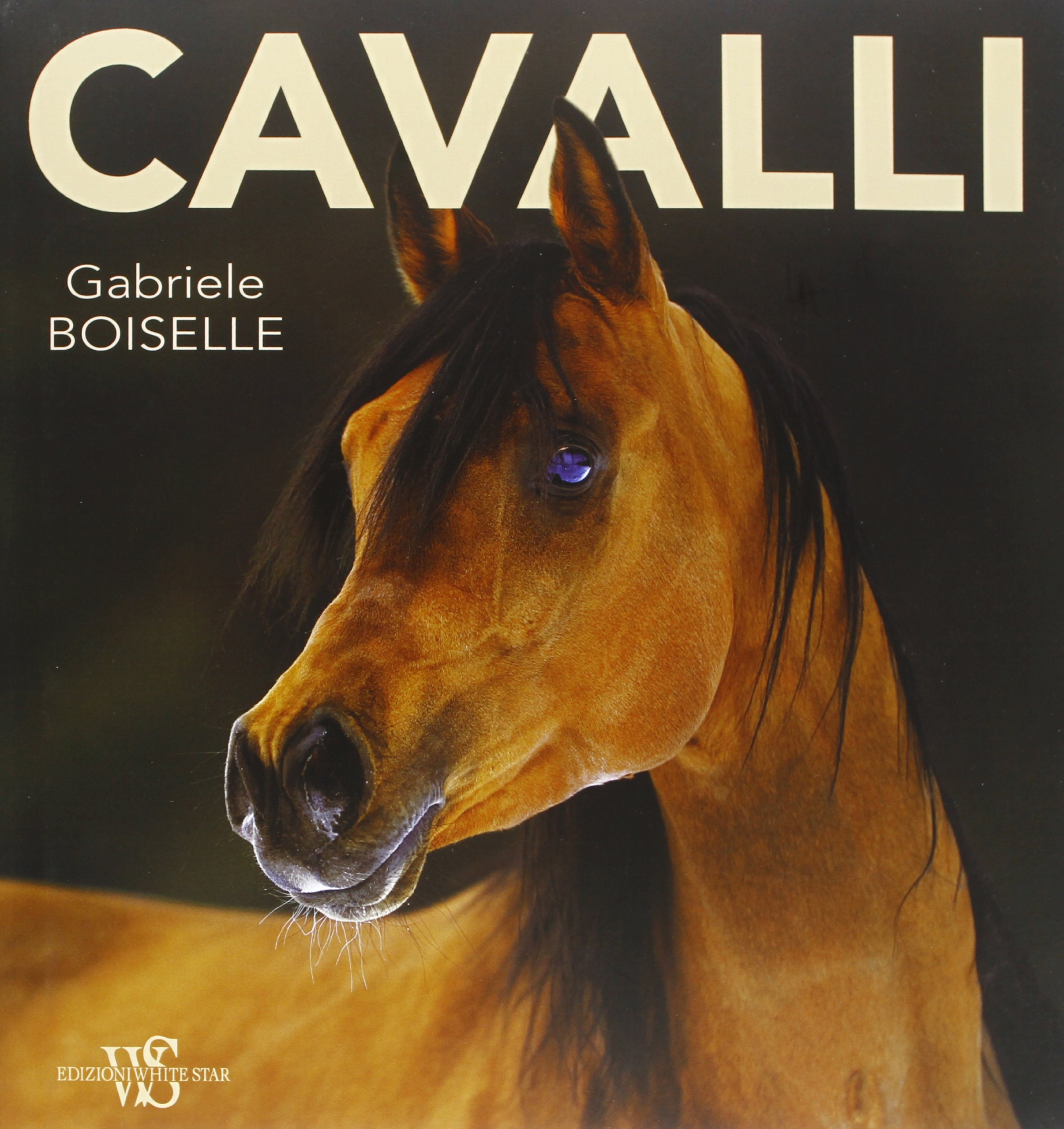 Cavalli. Ediz. illustrata Cavalli. Ediz. illustrata