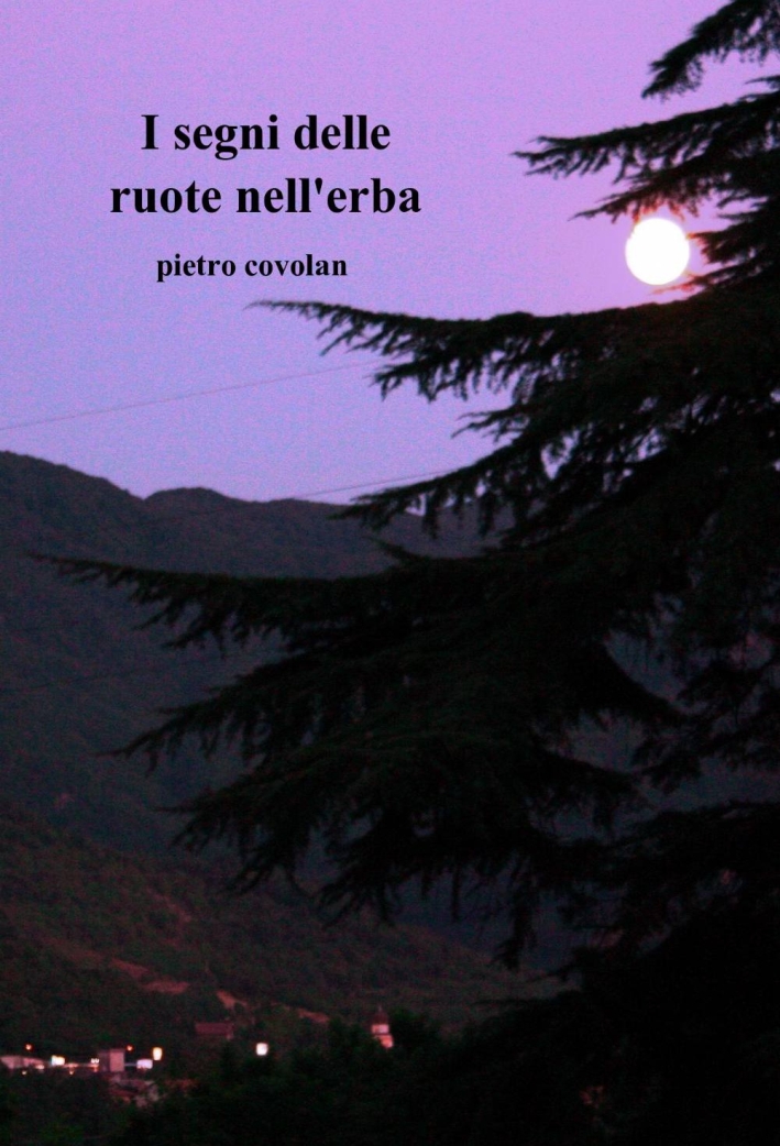 I segni delle ruote nell'erba I segni delle ruote nell'erba