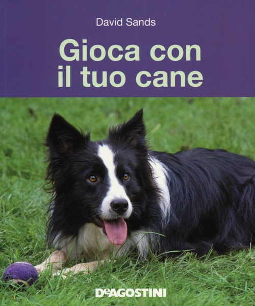 Gioca con il tuo cane Gioca con il tuo cane