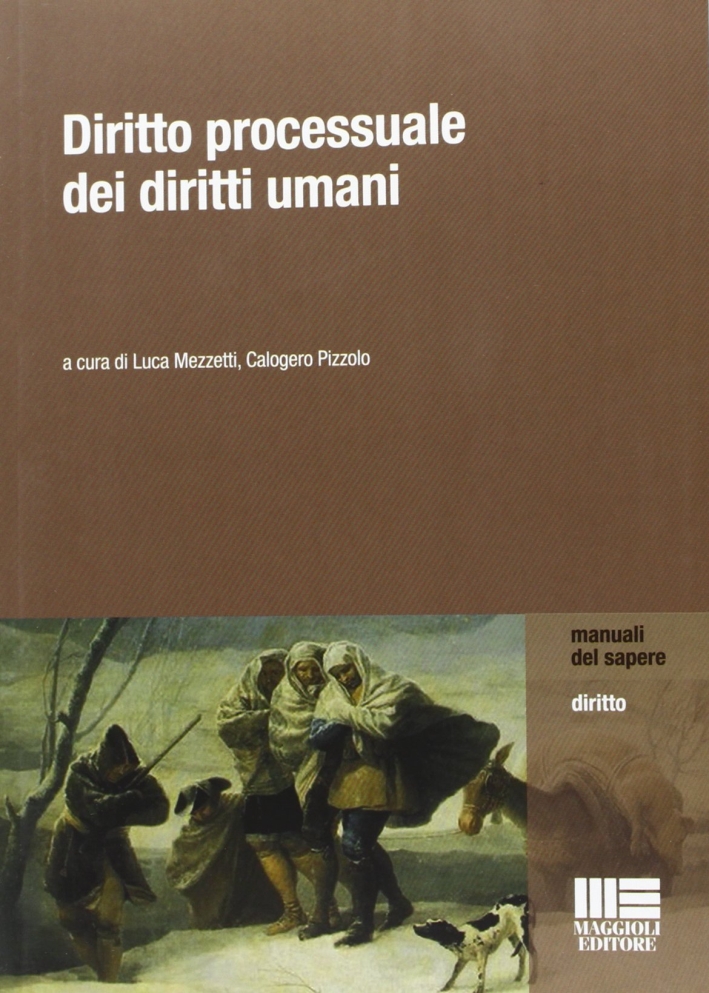 Diritto processuale dei diritti umani Diritto processuale dei diritti umani