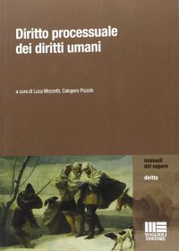 Diritto processuale dei diritti umani