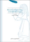 Ricerche di egittologia e di antichità copte