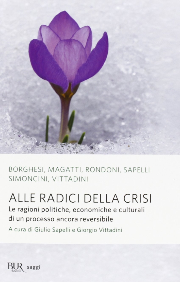 Alle radici della crisi. Le ragioni politiche, economiche e culturali di un processo ancora reversibile Alle radici della crisi. Le ragioni politiche, economiche e culturali di un processo ancora reversibile