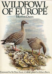 Wildfowl of Europe