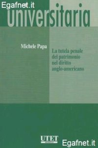 La tutela penale del patrimonio nel diritto anglo-americano