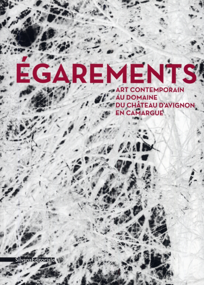 Egarements. Art contemporain au château d'Avignon en camargue Egarements. Art contemporain au château d'Avignon en camargue