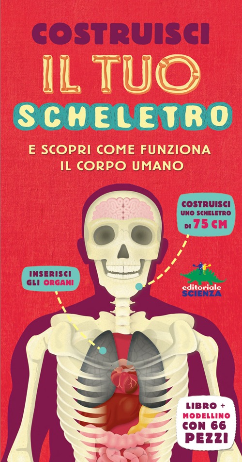Costruisci il tuo scheletro e scopri come funziona il corpo umano. Con gadget Costruisci il tuo scheletro e scopri come funziona il corpo umano. Con gadget