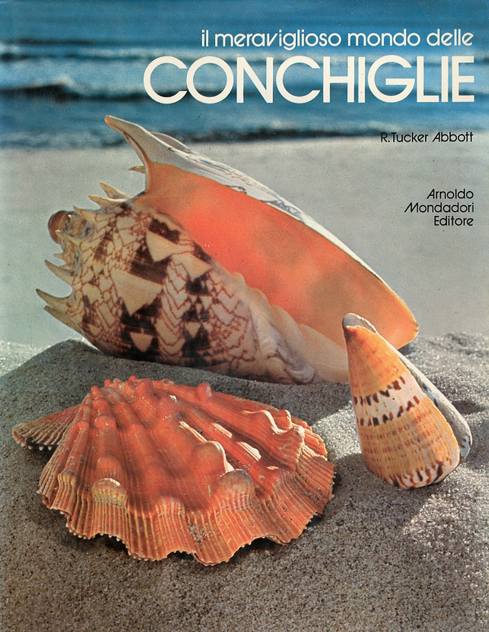 Il Meraviglioso Mondo delle Conchiglie Il Meraviglioso Mondo delle Conchiglie