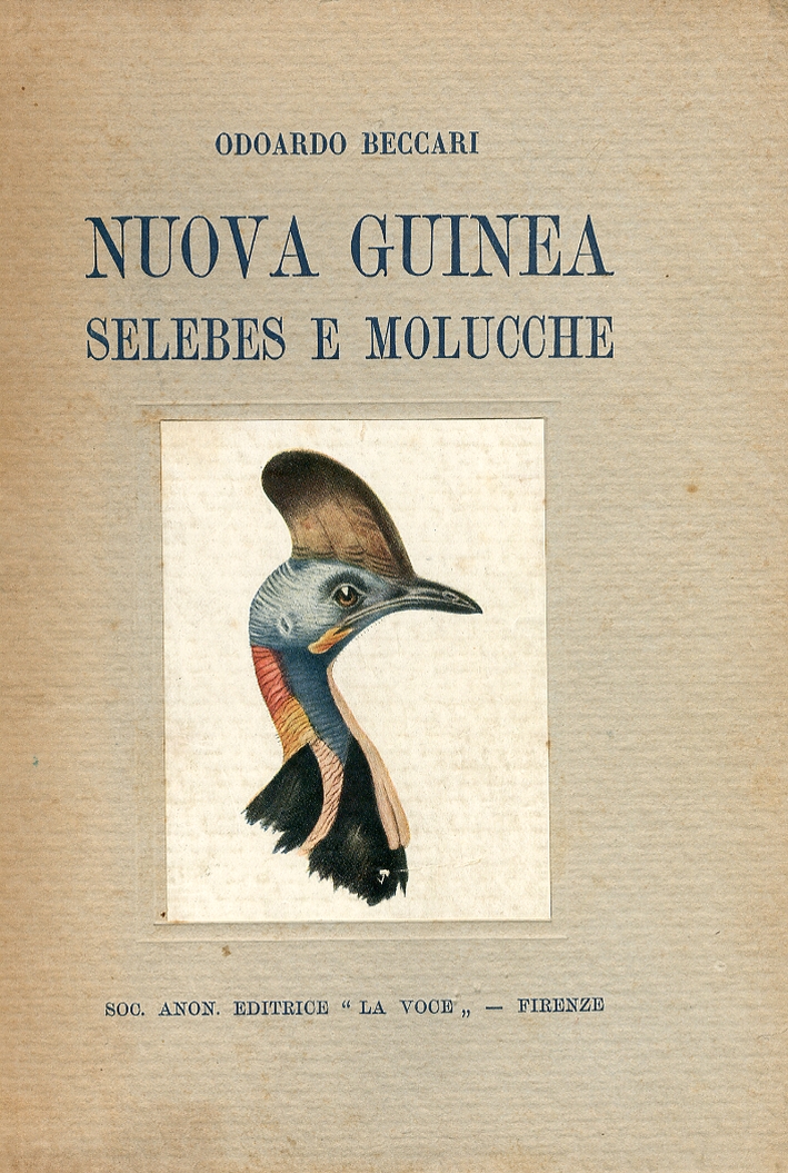 Nuova Guinea Selebes e Molucche Nuova Guinea Selebes e Molucche