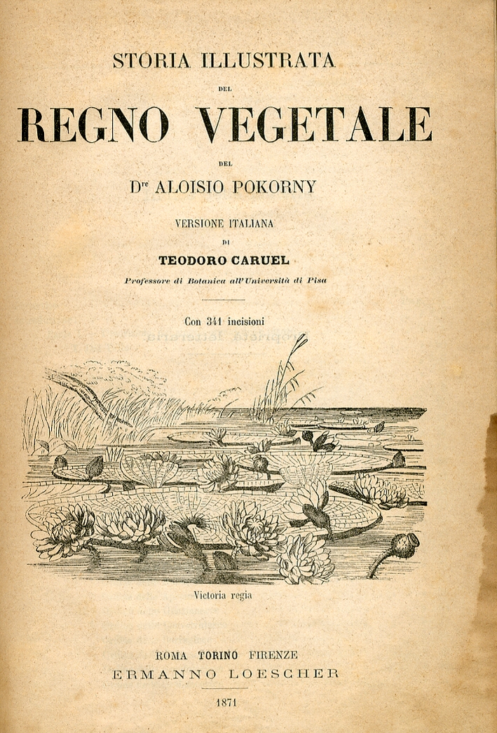Storia Illustrata del Regno Vegetale Storia Illustrata del Regno Vegetale