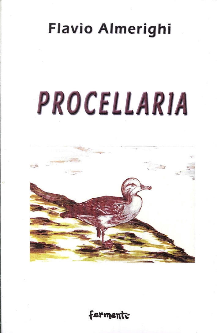 Procellaria Procellaria